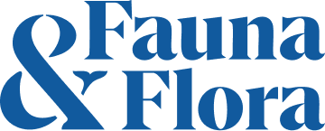 FFI-logo_blue