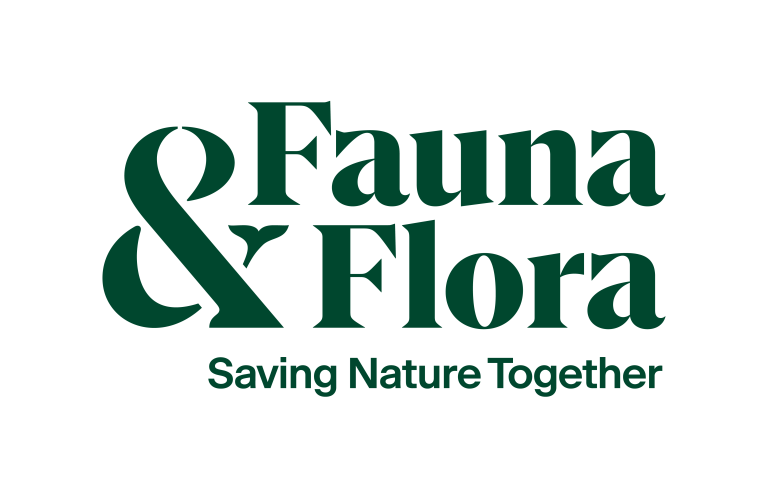 FF_Logo_Strapline_Forest_RGB-1