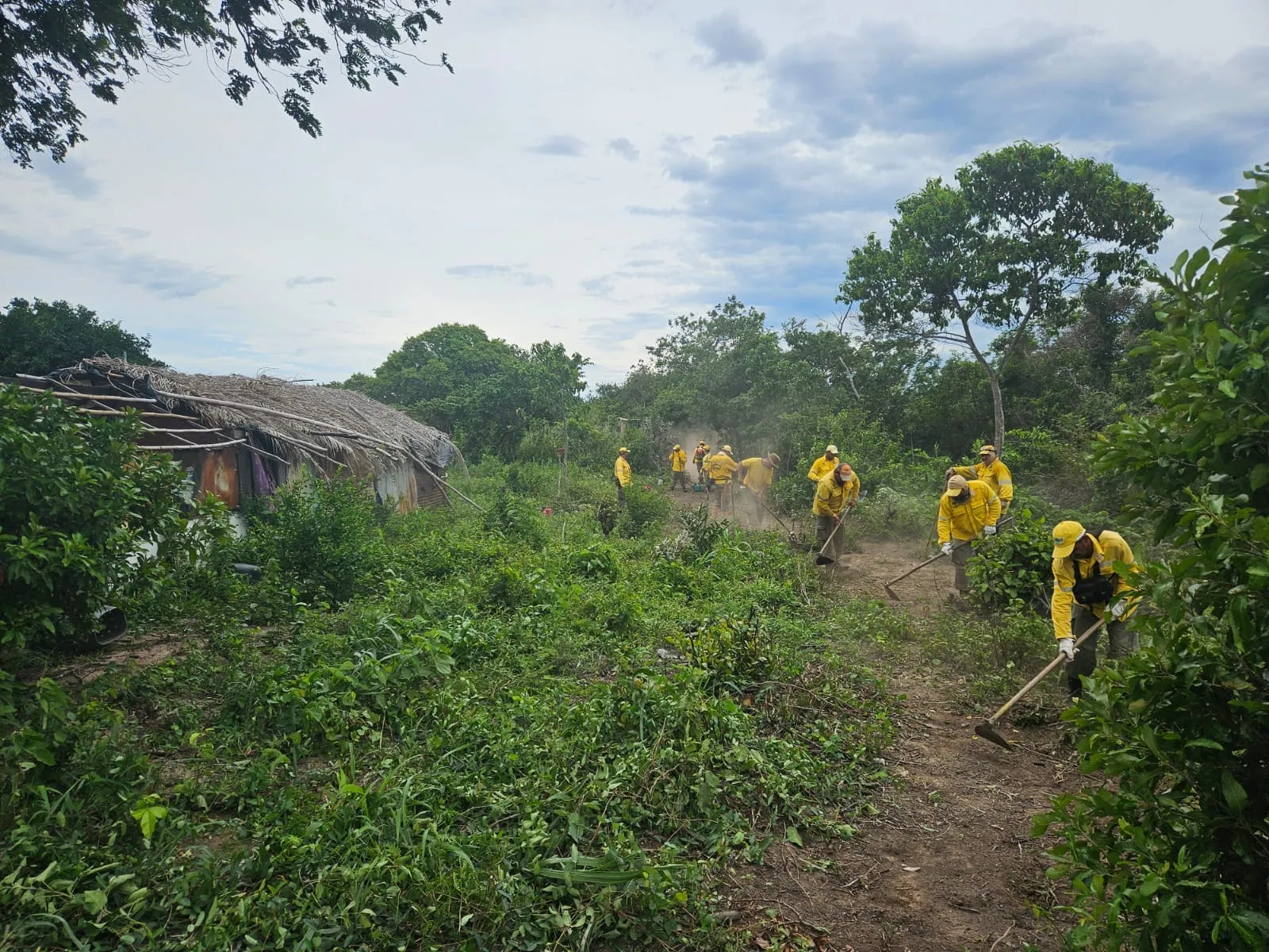 Pantanal-1