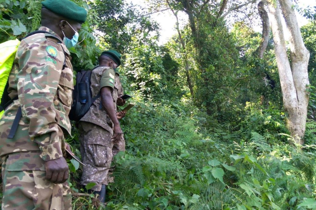 Uganda Wildlife Authority staff